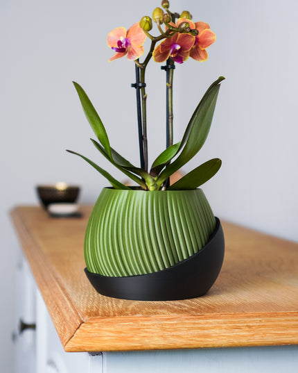 Planter - Bloomcrest