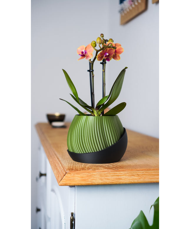 Planter - Bloomcrest