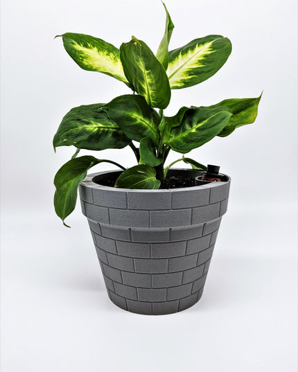 Planter - Floating Gentlemen