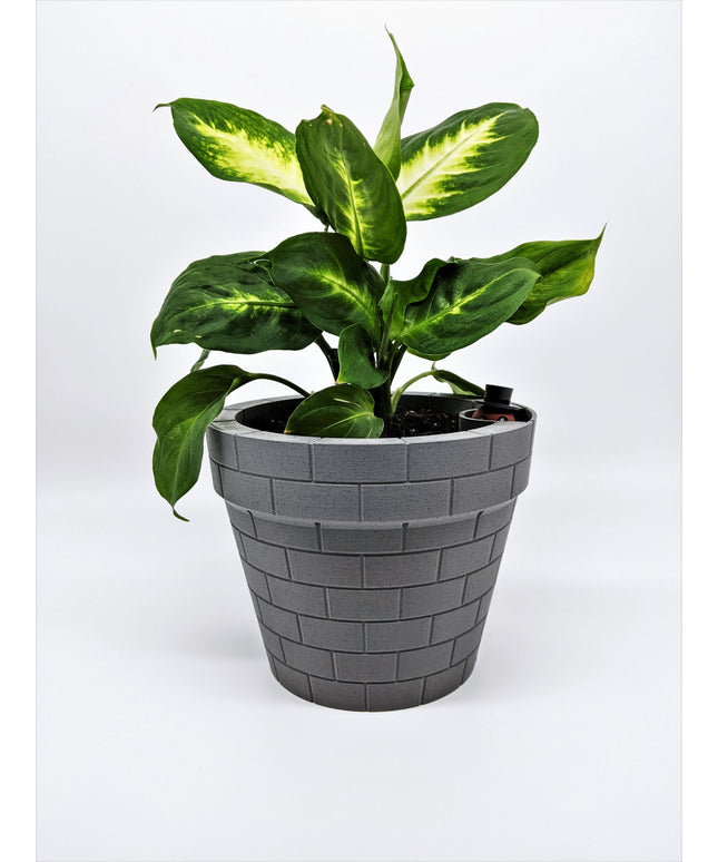 Planter - Floating Gentlemen
