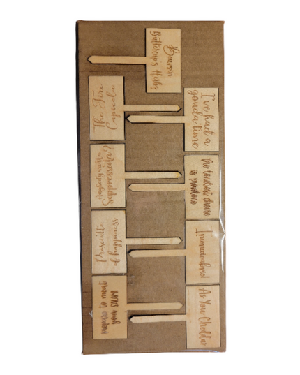 Charcuterie Wooden Meat and Cheese Markers 9 piece