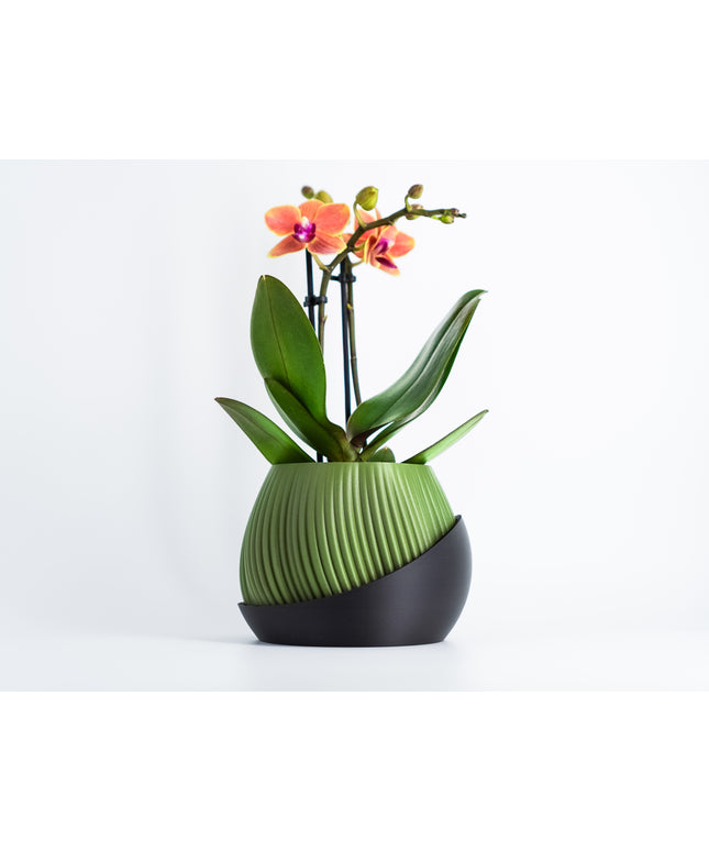 Planter - Bloomcrest