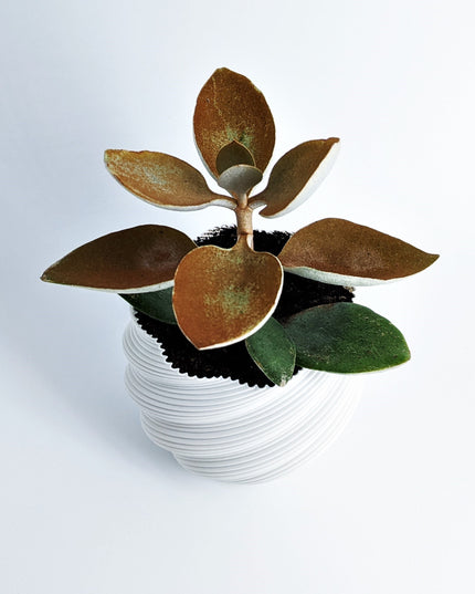 Planter - Deluvian