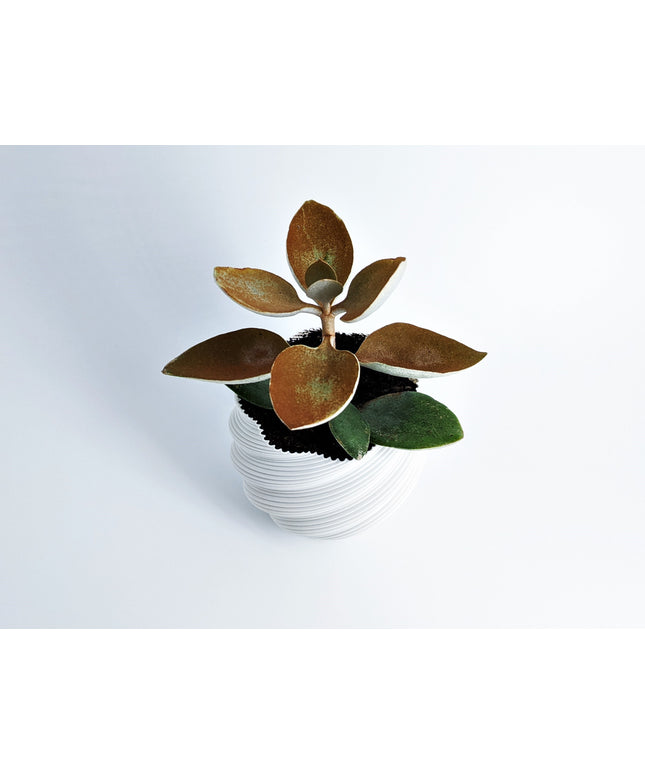 Planter - Deluvian