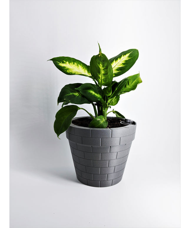Planter - Floating Gentlemen
