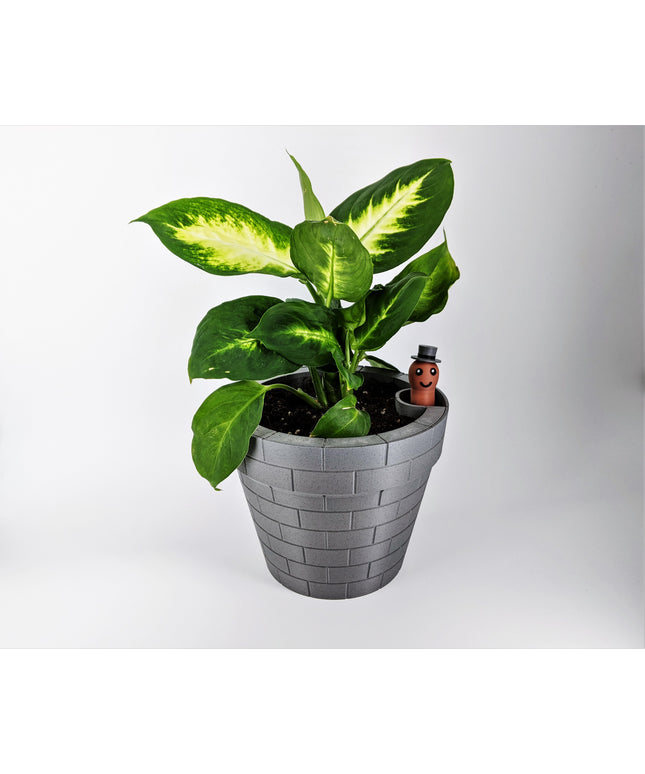 Planter - Floating Gentlemen
