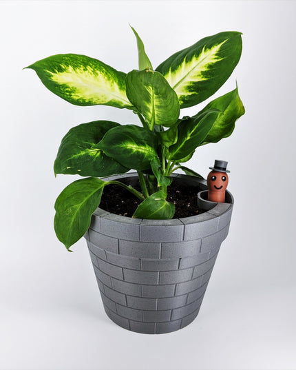 Planter - Floating Gentlemen