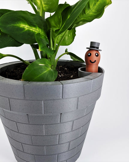Planter - Floating Gentlemen