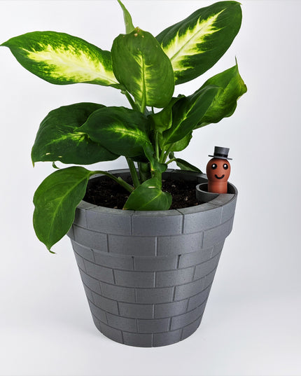 Planter - Floating Gentlemen