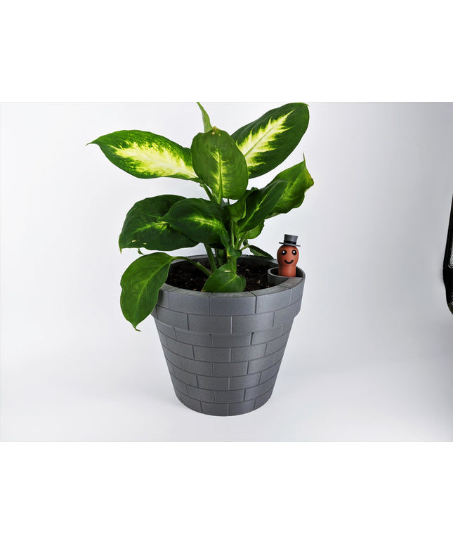 Planter - Floating Gentlemen
