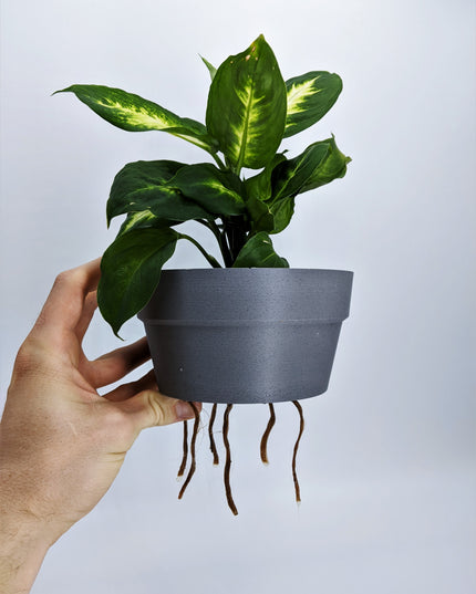Planter - Floating Gentlemen