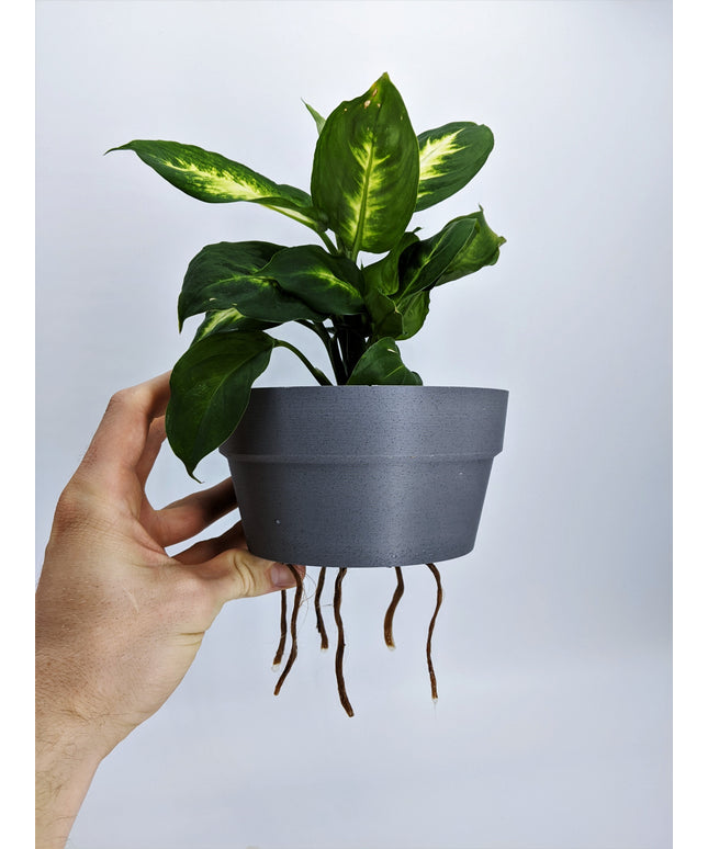 Planter - Floating Gentlemen