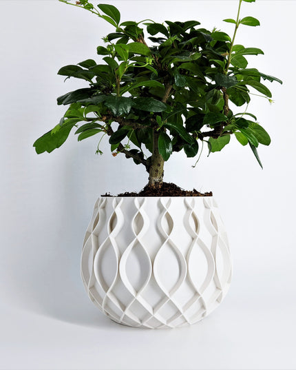 Planter - Bellvere
