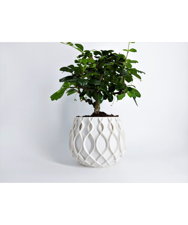 Planter - Bellvere